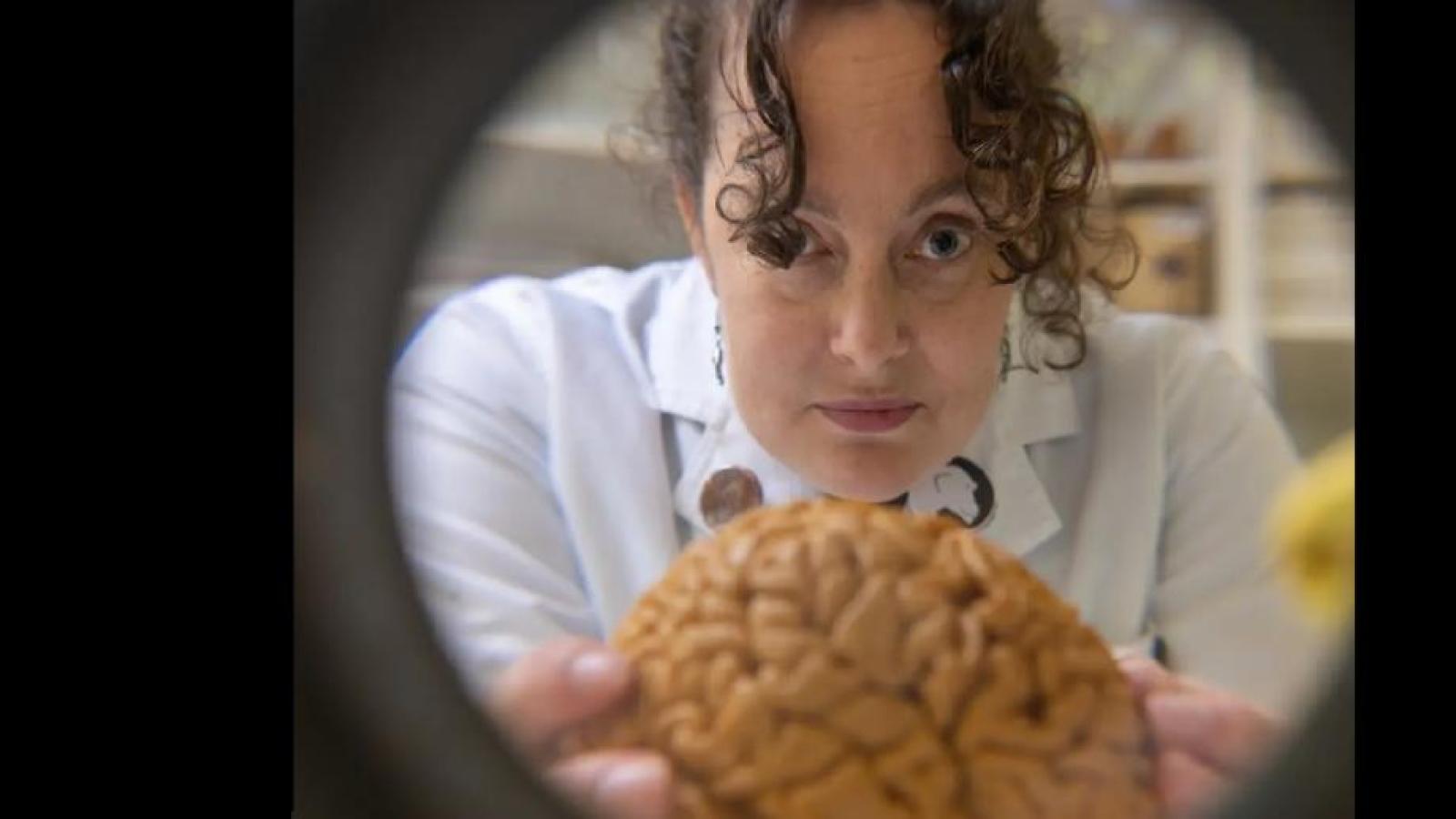 PhD Scholar Alannah Pearson holds an endocast, a model of the brain, up close to the camera, wearing a white labcoat.