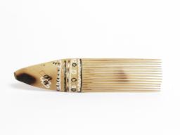 Painted Comb (SOAA 2019.00375)