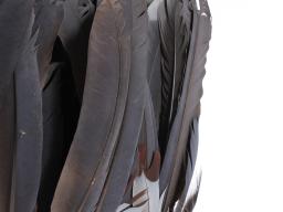 Goura Pigeon Feather Headdress (SOAA 2019.00394)