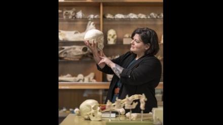 Exploring the Effectiveness of Online Practical Laboratory Delivery in Biological Anthropology