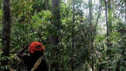 The Known and the Unknown: Sensing Others in the Batek&#039;s Forest, Malaysia