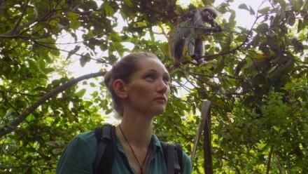The nutritional ecology of the Zanzibar red colobus (Piliocolobus kirkii) within modified habitats
