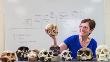 Claims and counter claims - a review of the scientific process of enquiry in the case of Homo floresiensis