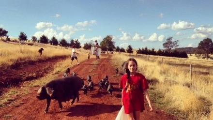 Blood ties: Kinship, reciprocity and love on heritage breed farms