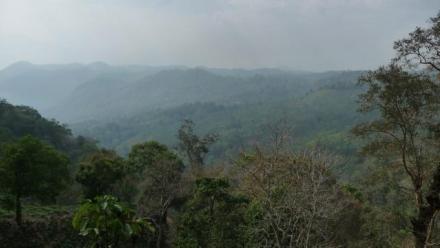 Developing relations: Rethinking Development, Intervention and Dependency Among Nayaka Forest Dwellers in South India 