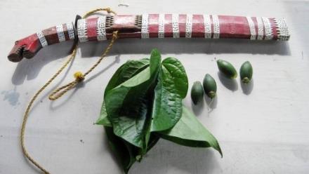 Founders and Settlers: Unpacking Indigeneity among the Higaunon Lumad in Mindanao