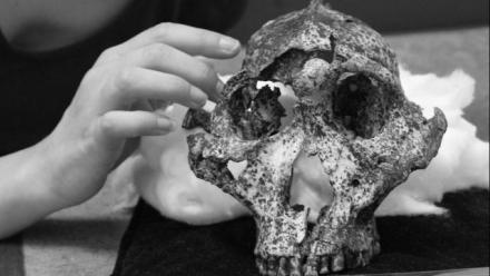 Micro-evolutionary changes in our hominin cousins