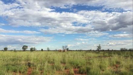 Hardness and Housing at a Warlpiri Community
