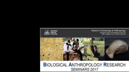 Fossils, skulls, and brains: bridging paleoneurology and medicine
