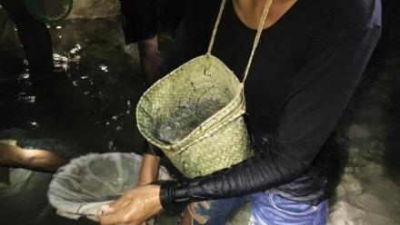 Of Winds, Worms and Fertility: The Meci Festival in Timor-Leste  