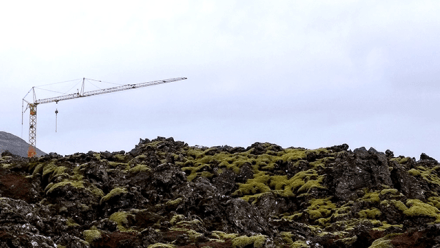 Crane in the lava field. Iceland. Photo by Marek Pawlak