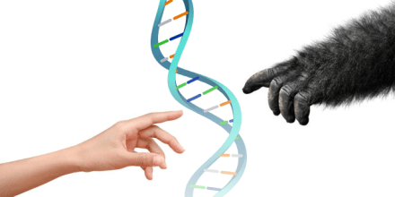 Biological Anthropology Seminar Series