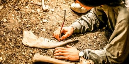 Archaeology