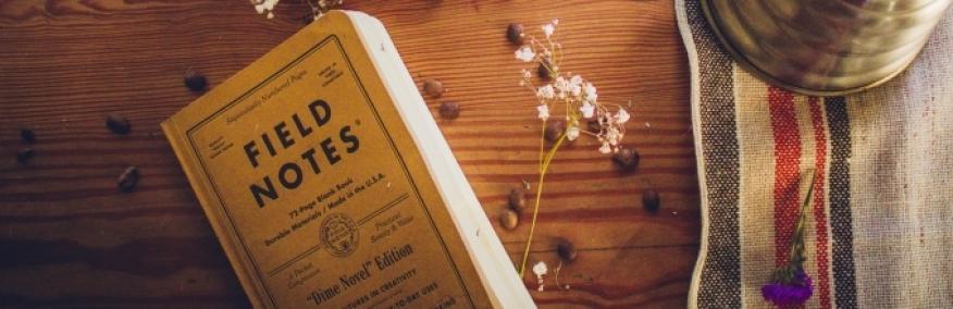 Expressions of Interest – Opportunities for Research in Anthropology