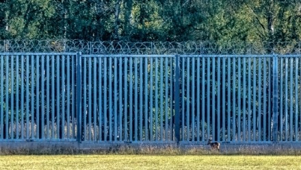 The wall with a view of Europe: Two long years of the EU–Belarus border crisis