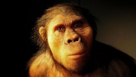 Weaning Behaviour and Diet of Australopithecus Africanus