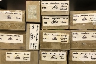 Archaeology Collections